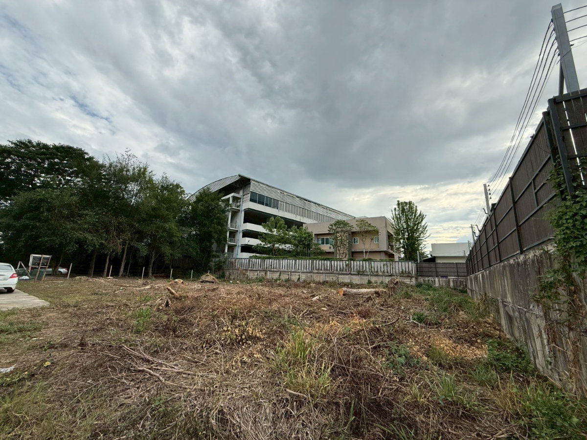 รูป ขายที่ดิน จังหวัดเชียงใหม่ อำเภอเมืองเชียงใหม่ ตำบลฟ้าฮ่าม 277 ตรว. (น้ำไม่ท่วม) ผังเมืองสีส้ม หน้ากว้าง 36 เมตร - รูปที่ 1/9