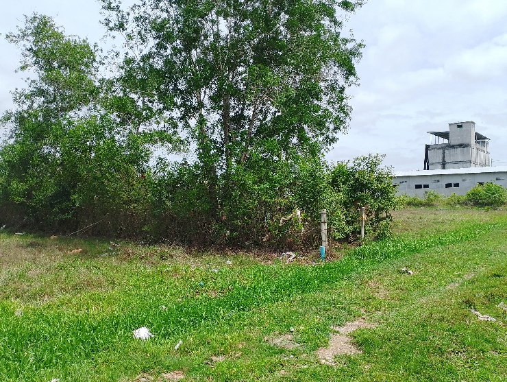 picture Sell land 2 units nearly town house 3 unite - 8/9