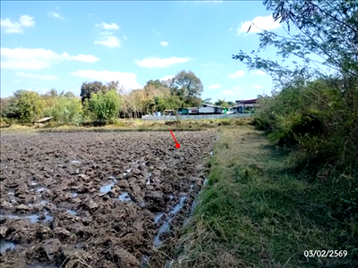 Land for sale Na Kae Nakhon Phanom : LAND 780 Sq.w. Na Kae Nakhon Phanom for 1.4M