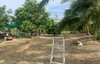 listing thumbnail image 10