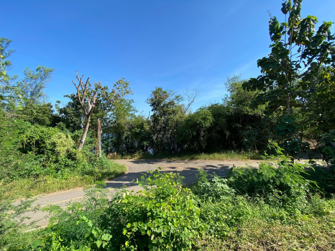 รูป ปรับลดราคาลงมาให้แล้ว! ขายที่ดินทำบ้านสวน 1 ไร่ 3 งาน ต.ท่าพล เมืองเพชรบูรณ์ (น้ำไม่ท่วม/เจ้าของขายเอง) - รูปที่ 12/14