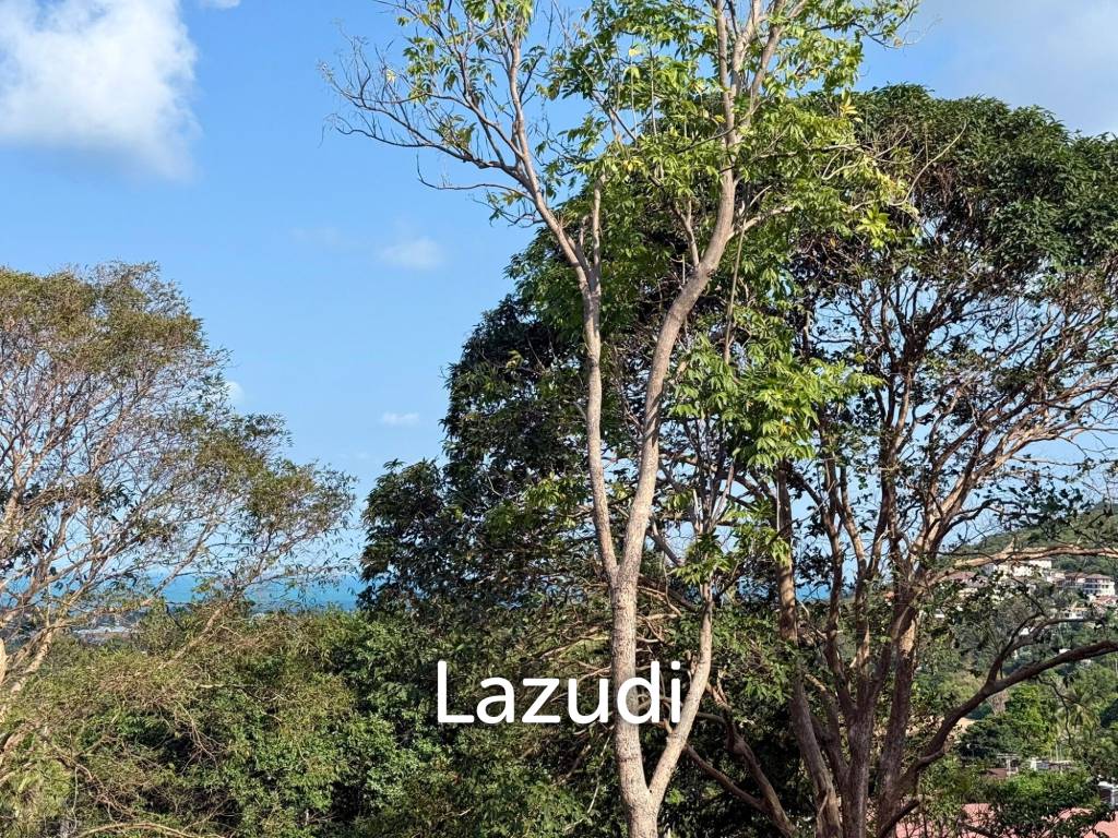 picture Sea View Land 1,462 sqm in Prime Chaweng Hill Location - 13/13