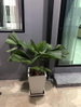 listing thumbnail image 20