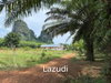 listing thumbnail image 2