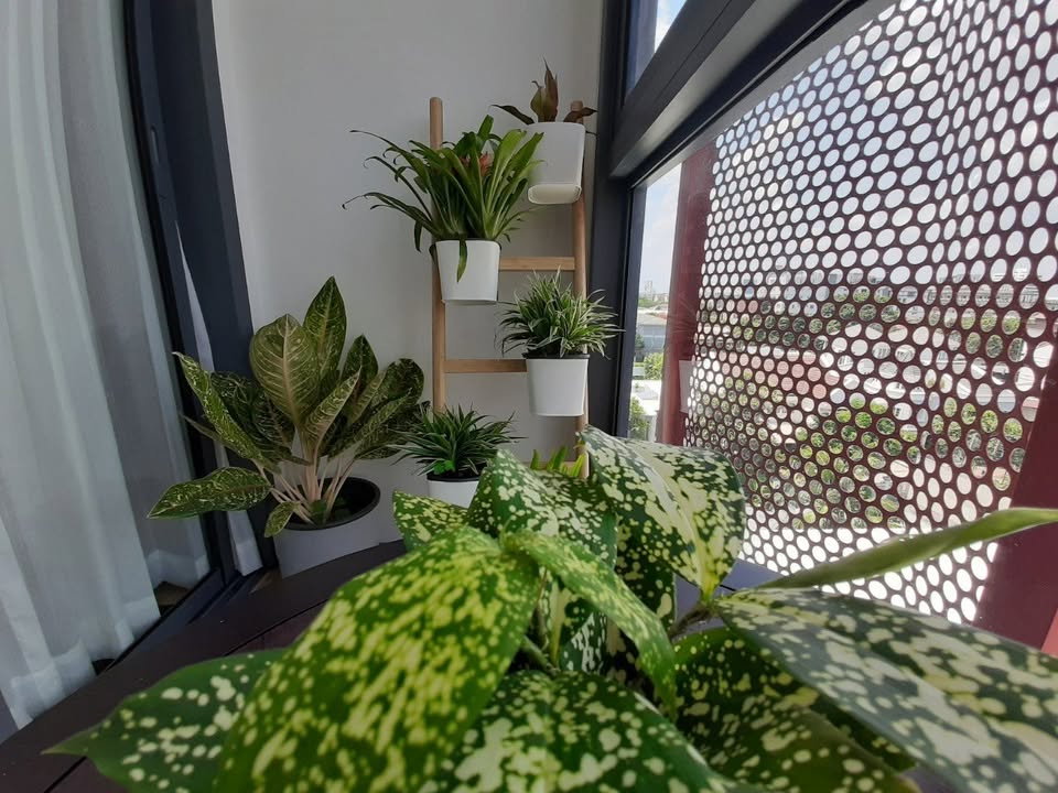 รูป 🔥ขาย คอนโด Taka Haus Ekamai 12 ทากะ เฮ้าส์ เอกมัย 12 🌳 โอเอซิสส่วนตัวใจกลางเมือง ดีไซน์ญี่ปุ่น โครงสร้างแข็งแรงพิเศษ - รูปที่ 7/16