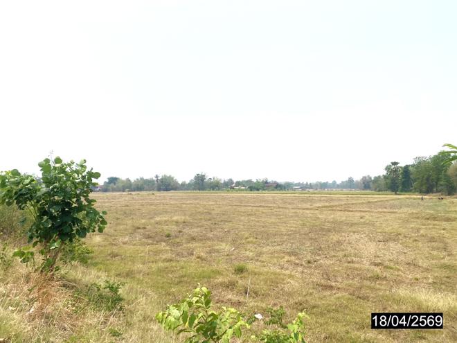 picture LAND 4661 Sq.w. Ban Dan Lan Hoi Sukhothai for 4.6M - 5/16
