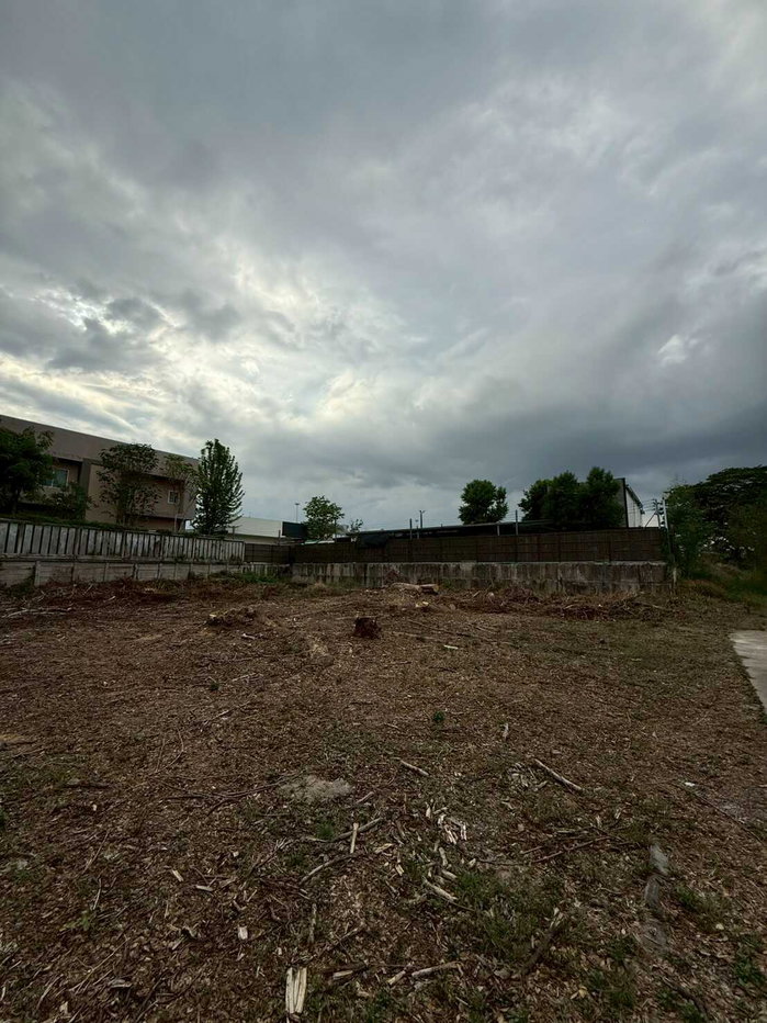 รูป ขายที่ดิน จังหวัดเชียงใหม่ อำเภอเมืองเชียงใหม่ ตำบลฟ้าฮ่าม 277 ตรว. (น้ำไม่ท่วม) ผังเมืองสีส้ม หน้ากว้าง 36 เมตร - รูปที่ 4/9