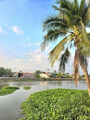รูป ให้เช่าบ้านเดี่ยวชั้นเดียว รีโนเวทใหม่ อยู่ตำบลบางปลา อำเภอบางเลน - รูปที่ 1/8