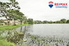 listing thumbnail image 11