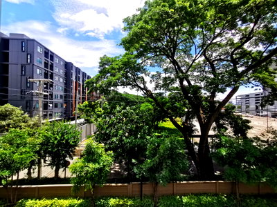 Condos for rent Muang Chiang Mai Chiang Mai : Condo for Rent – D Condo Nim Chiang Mai Next to Central Festival Chiang Mai