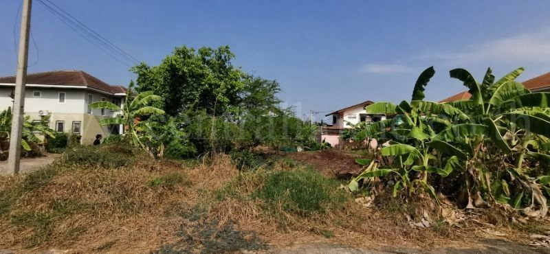 รูป ที่ดินเปล่า 132 ตร.วา ซอยวัดลาดปลาดุก บางบัวทอง แปลงมุม - รูปที่ 4/10