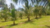 listing thumbnail image 16