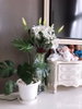 listing thumbnail image 5