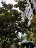 listing thumbnail image 9