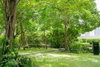 listing thumbnail image 20
