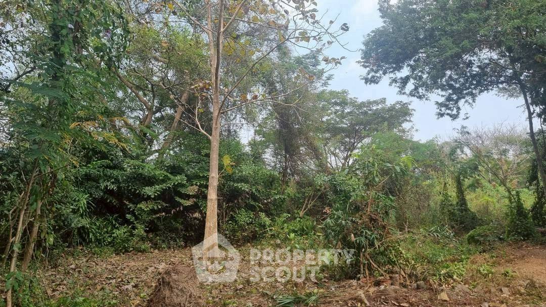 picture 7,385.2 m² Land for Sale in Chang Phueak (ID 2920654) - 8/8