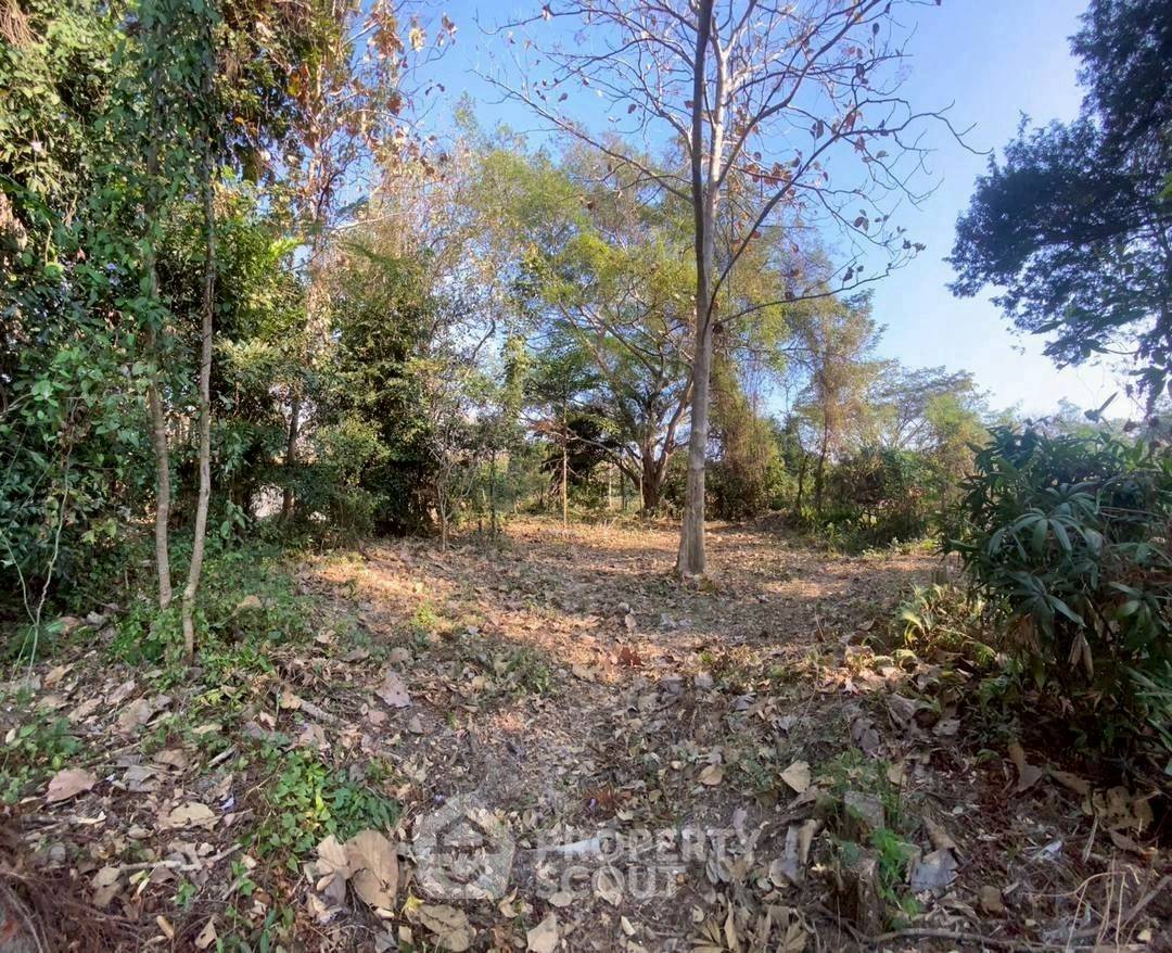 picture 7,385.2 m² Land for Sale in Chang Phueak (ID 2920654) - 5/8