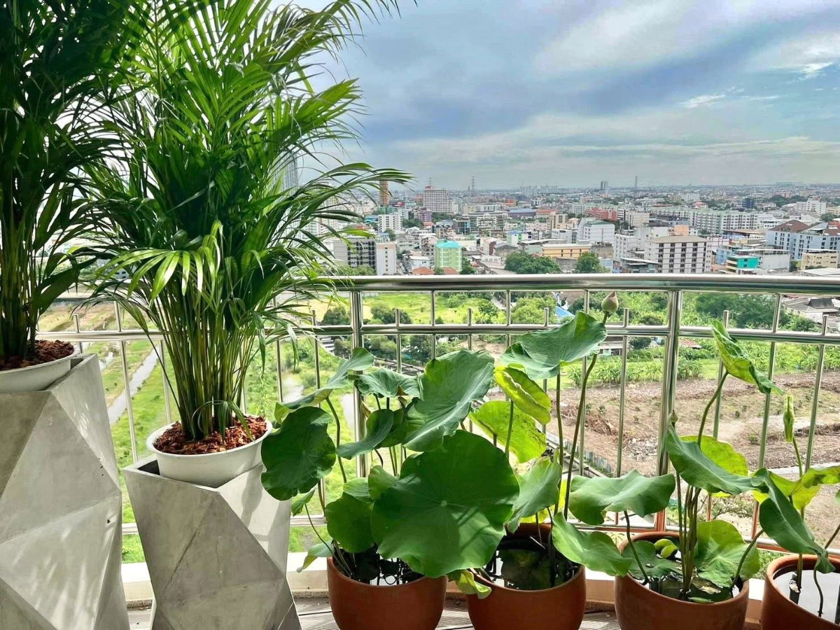รูป 🏢 ขายคอนโด : Supalai Wellington (ศุภาลัย เวลลิงตัน)   รหัสทรัพย์ | 📌LNP-C13372  - รูปที่ 10/49