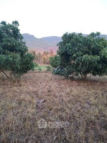 picture 1,928 Sqm Land For Sale On Klang, Mae On, Chiang Mai (ID 2931599) - 4/6