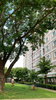 listing thumbnail image 26