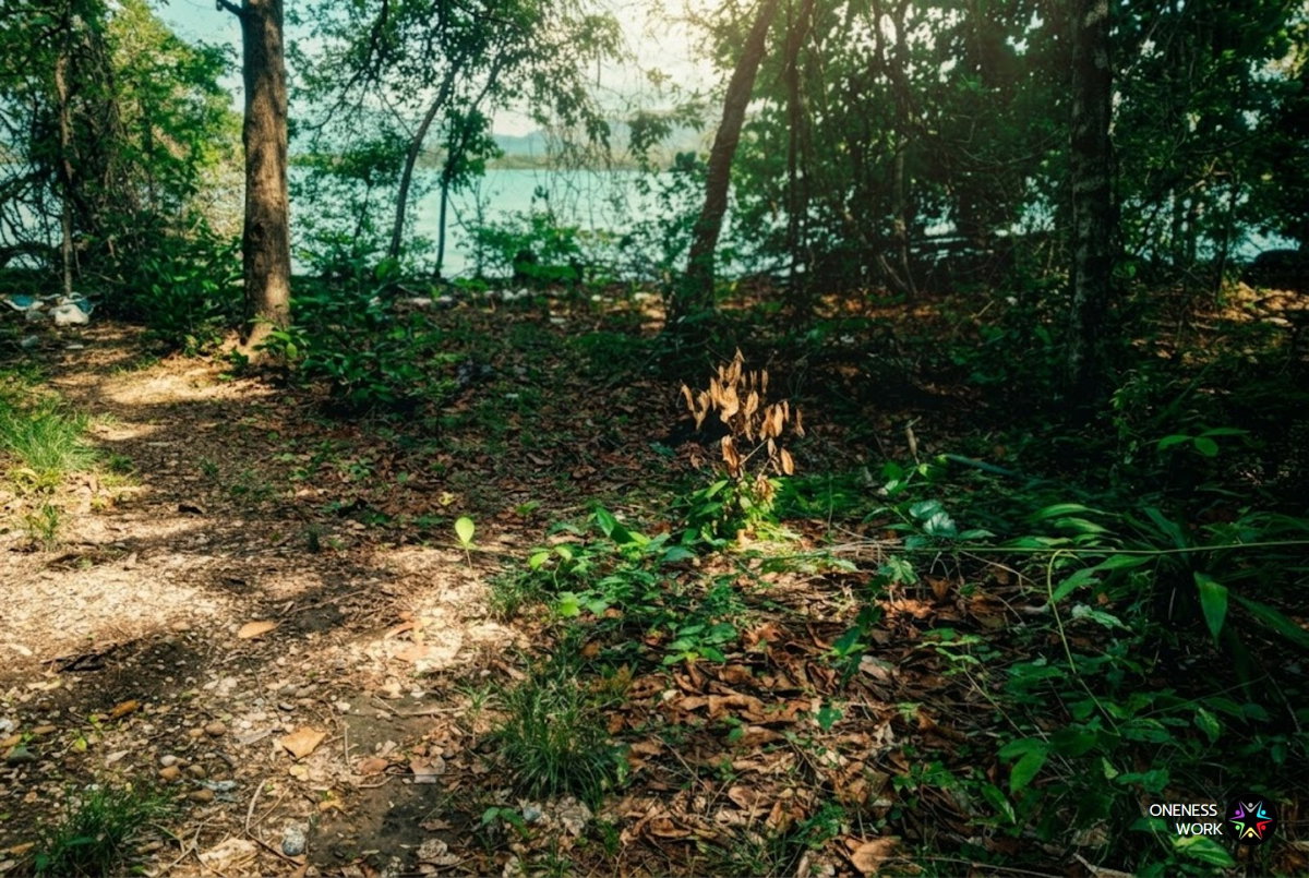 รูป The Crown Jewel of Panwa: Rare Beachfront Development Opportunity - รูปที่ 5/8