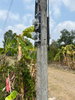 listing thumbnail image 18