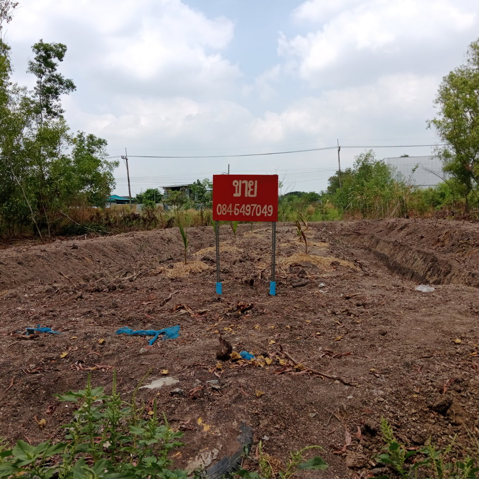 รูป ขายที่ดิน 120 ตร.วา เวิลด์คลับแลนด์ โครงการ 3 ต. คลองสี่ อ. คลองหลวง จ. ปทุมธานี - รูปที่ 1/4