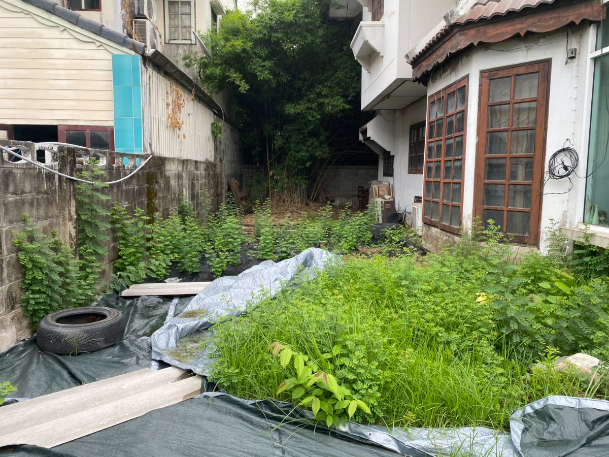 picture Single House for Sale - suetrong 28 (nawamin 145) - 4/7