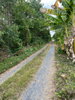listing thumbnail image 13