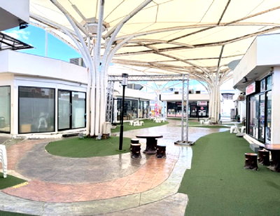 Retail spaces for sale ม.เอเชียอาคเนย์ : for Sale community mall at Bangbon Road inside the load the project name the tree bangbon