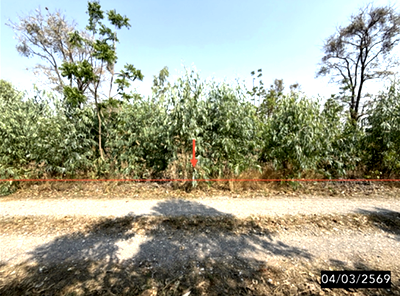 ที่ดินว่างเปล่า 1860 ตร.วา พล ขอนแก่น 1.3M