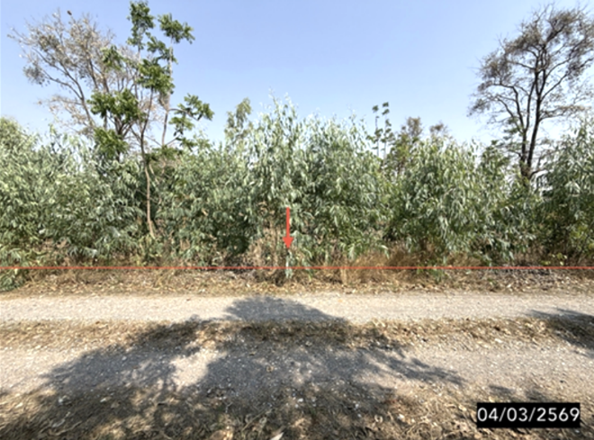รูป ที่ดินว่างเปล่า 1860 ตร.วา พล ขอนแก่น 1.3M - รูปที่ 1/14