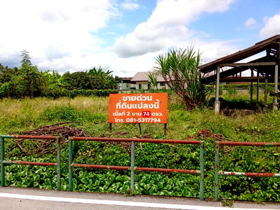 Land for sale Muang Lamphun Lamphun : Urgent Sale! Beautiful Land in Umong, Lamphun.