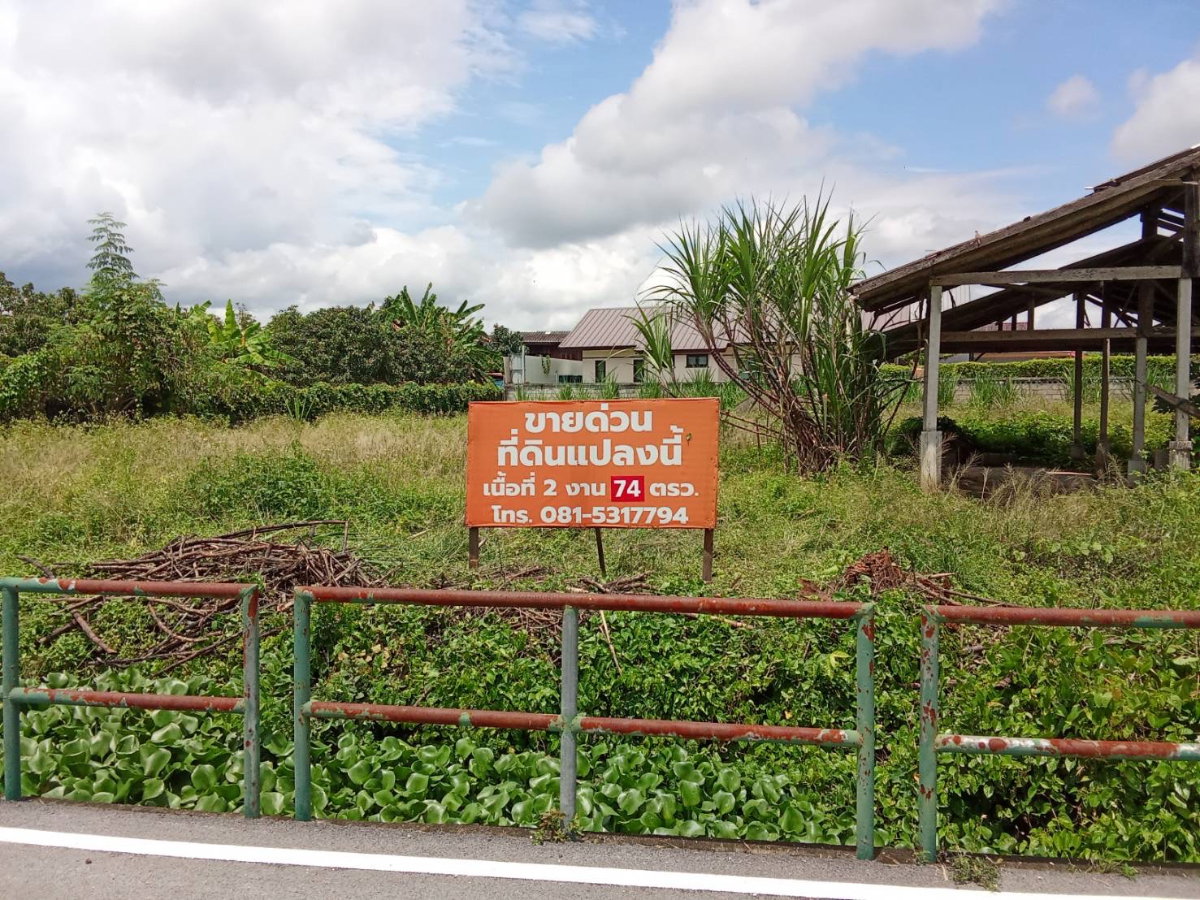 picture Urgent Sale! Beautiful Land in Umong, Lamphun. - 1/8