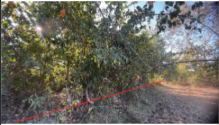 picture PROPERTY 683.5 Sq.w. Muang Nakhon Phanom Nakhon Phanom for 31M - 19/36
