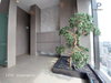 listing thumbnail image 28