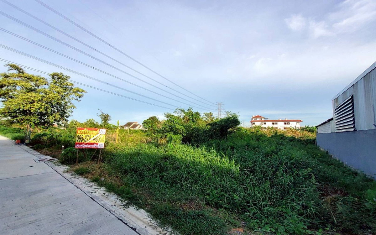 รูป ขายถูกที่ดินใกล้ตลาดอักษะ 100 ตรว ติดถนนสาธารณะ พุทธมณฑลสาย ๓ ซอย 22 ตลิ่งชัน กทม. - รูปที่ 10/10
