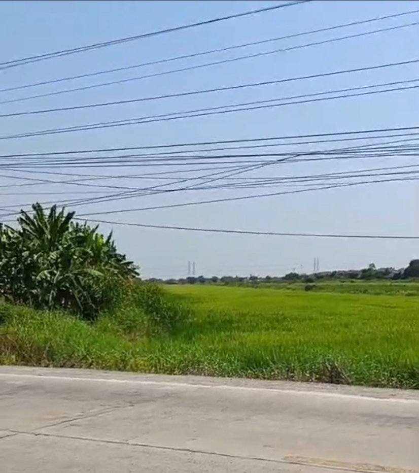 รูป ขายที่ดิน 19 ไร่ 2 งาน 60 ตร.ว. ติดถนนเลียบคลอง 7 ลำลูกกา คูคต ปทุมธานี หน้ากว้าง 48 เมตร - รูปที่ 1/4