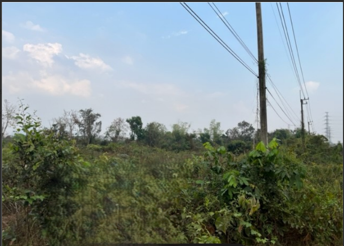 picture PROPERTY 683.5 Sq.w. Muang Nakhon Phanom Nakhon Phanom for 31M - 7/36