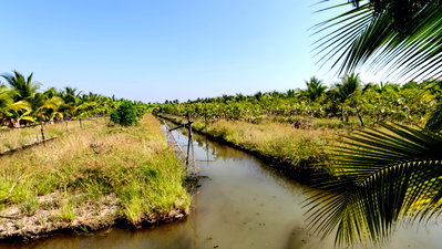 ที่ดิน สามพราน นครปฐม : 🌳 [ขายด่วน!] ที่ดินสวนสวย 7 ไร่เศษ สามพราน-บางช้าง ราคาถูกที่สุดในย่านนี้!