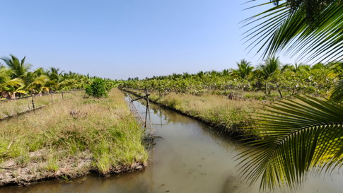 🌳 [ขายด่วน!] ที่ดินสวนสวย 7 ไร่เศษ สามพราน-บางช้าง ราคาถูกที่สุดในย่านนี้!