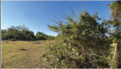picture PROPERTY 683.5 Sq.w. Muang Nakhon Phanom Nakhon Phanom for 31M - 17/36
