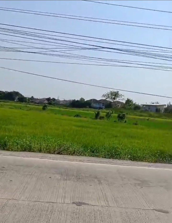 รูป ขายที่ดิน 19 ไร่ 2 งาน 60 ตร.ว. ติดถนนเลียบคลอง 7 ลำลูกกา คูคต ปทุมธานี หน้ากว้าง 48 เมตร - รูปที่ 2/4