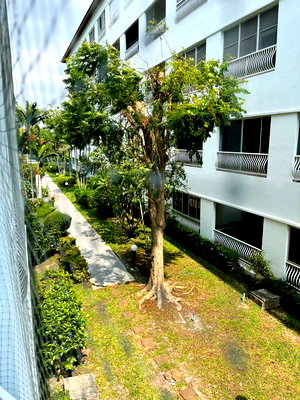 Condos for sale : Baan Suan Lalana Condominium Studio 