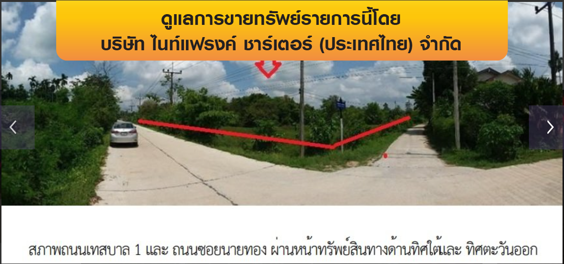 รูป ที่ดินว่างเปล่า 9513.3 ตร.วา ป่าบอน-พัทลุง ป่าบอน พัทลุง 62M - รูปที่ 8/8