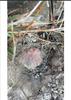 listing thumbnail image 10