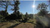 listing thumbnail image 20