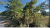 listing thumbnail image 17