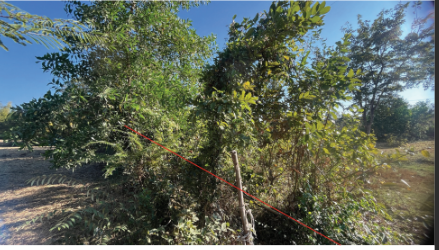 picture PROPERTY 683.5 Sq.w. Muang Nakhon Phanom Nakhon Phanom for 31M - 18/36