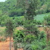 listing thumbnail image 5